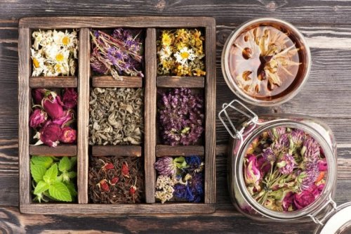 Naturprodukte werden immer beliebter und damit erreicht auch die Phytotherapie wieder große Wichtigkeit.