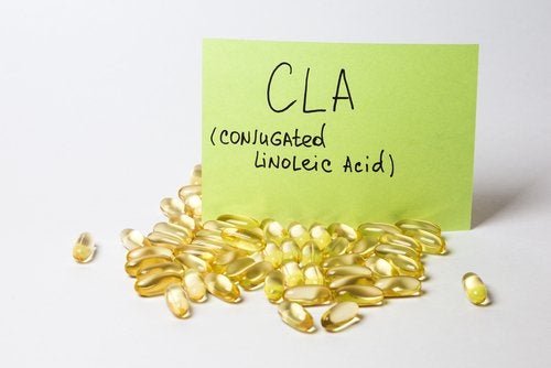 Konjugierte Linolsäuren (CLA) und ihre Wirkung