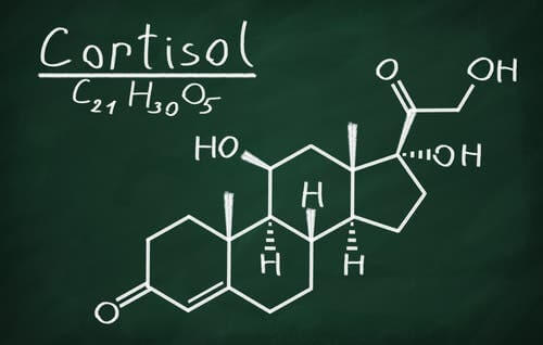 Hautprobleme durch Stress und Cortisol