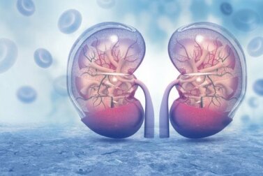 Wissenswertes über das Hormon Vasopressin