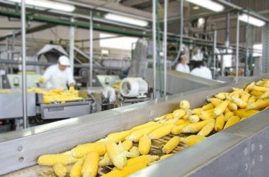 Einfluss technologischer Verfahren auf den Nährwert von Lebensmitteln