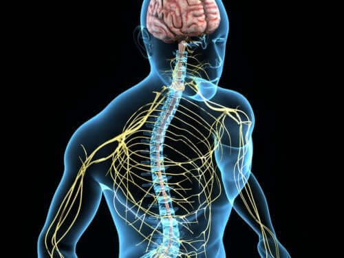 Der essentielle Tremor: Ursachen