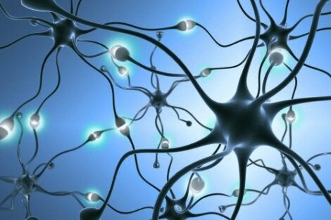 Neurogenese: Wie entstehen neue Nervenzellen?