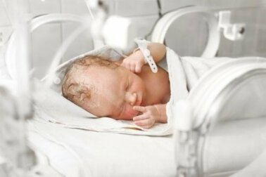 Gastroschisis bei Säuglingen