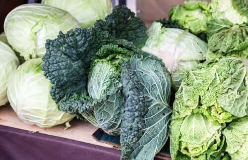 Marktstand-mit-Grünkohl