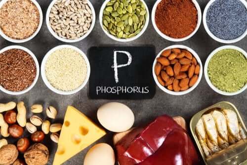 Zu Viel Phosphat Im Körper Symptome