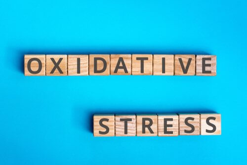 Was ist oxidativer Stress?