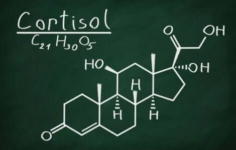 Cortisol