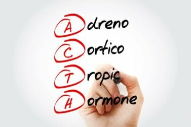 Das Hormon Adrenocorticotropin (ACTH)