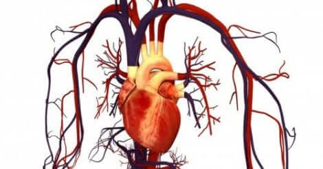 Atorvastatin bei Herz-Gefäß-Krankheiten