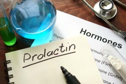 Was ist Prolaktin und wie funktioniert dieses Hormon?
