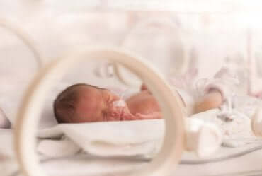 Gastroschisis: Diagnose und Behandlung