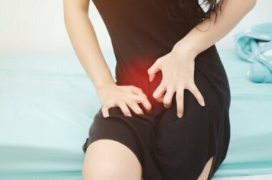 Was sind Filzläuse und wie erfolgt die Übertragung?