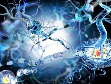 Erfahre mehr über epileptische Anfallsarten