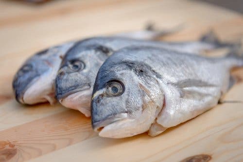 Ist Quecksilber in Fisch gefährlich?