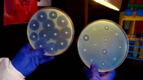 Bactroban gegen Krankheitserreger
