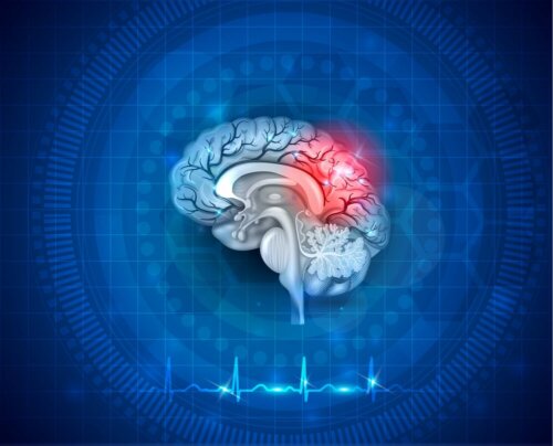 Neuroplastizität: Was ist das?