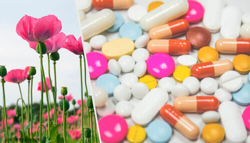 Opioide gegen Tumorschmerzen