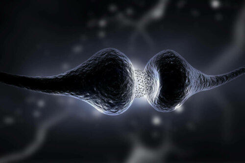 synapsen und neuroplastizität