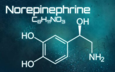 Wissenswertes über Norepinephrin (INN)