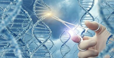 Wissenswertes über genetische Mutationen