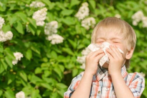 Allergien bei Kindern: Kind mit Heuschnupfen