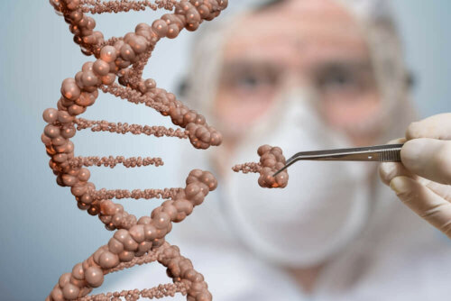 DNA Autotransplantation