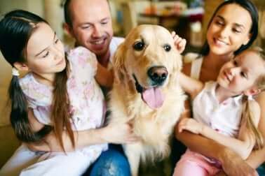 Familie hat keine Angst vor Hunden