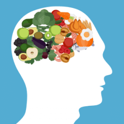 Low-Carb-Diät und Auswirkungen auf das Gehirn