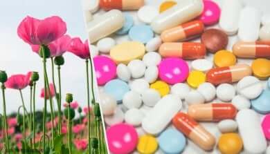 Eigenschaften der Opioidabhängigkeit