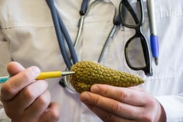 Die endokrinen Drüsen: Bauchspeicheldrüse 