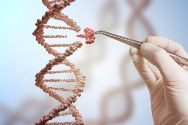 genetische Mutationen und ihre Folgen