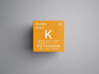 Hyperkaliämie: Was ist das und wie wird diese Störung behandelt?