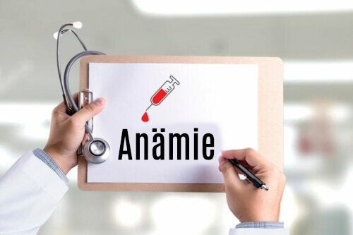 Anämie und Eisenmangel