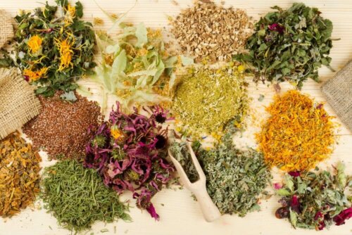 nützliche Arzneipflanzen