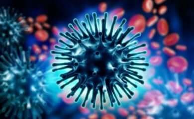 Symptome des Coronavirus