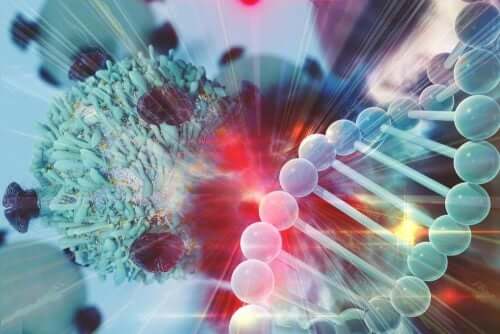 Immunsystem gegen Krebs: So entkommen die Krebszellen!