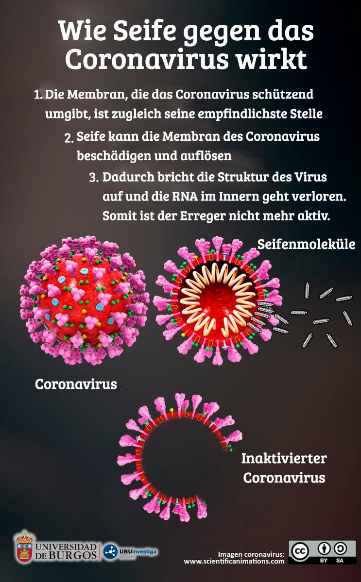 seife coronavirus wirkung