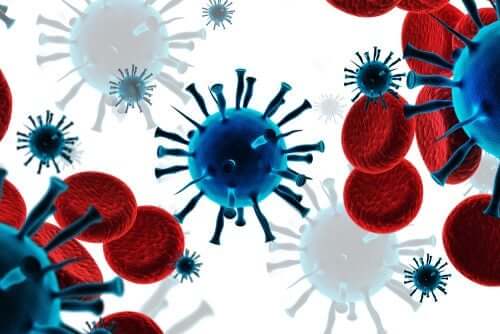 Immunsystem gegen Krebs