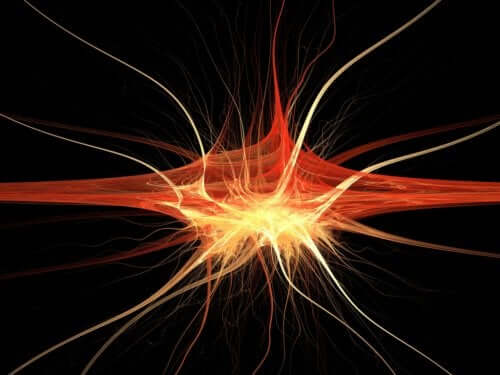 Nerven der Hand: Nervus medianus