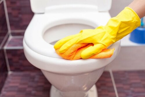 Toilette reinigen und desinfizieren