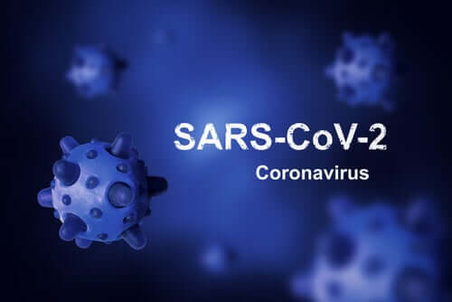 Coronavirus: Ursprung und Kampf gegen SARS-CoV-2