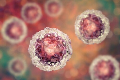 Übertragbarkeit des Coronavirus: Was du darüber wissen solltest