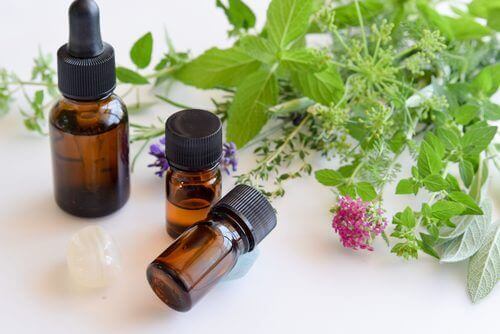 Ätherisches Oreganoöl