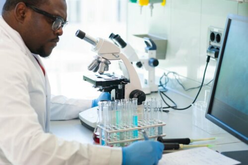 PCR Test im Labor durchführen