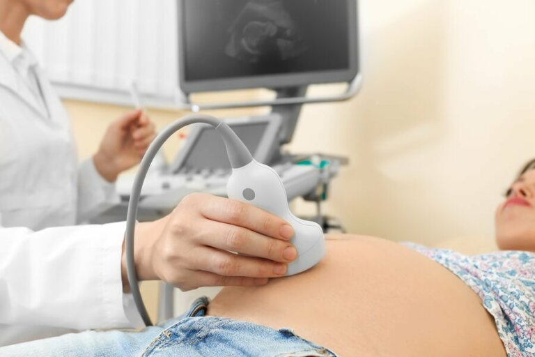 Ultraschall bei Schwangeren: Verfahren und Vorbereitung