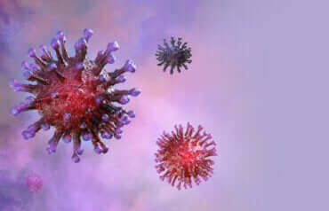 neueste Studien über Coronavirus