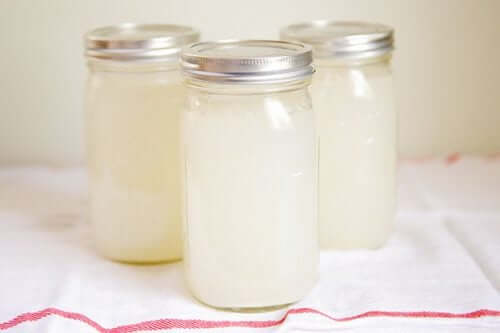 Was ist Wasserkefir?