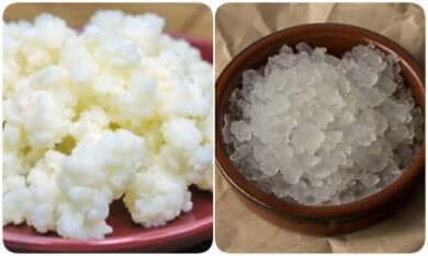 Rezept für Wasserkefir