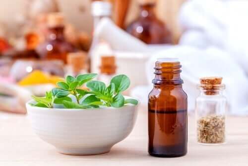 Öl aus wildem Oregano, Dost